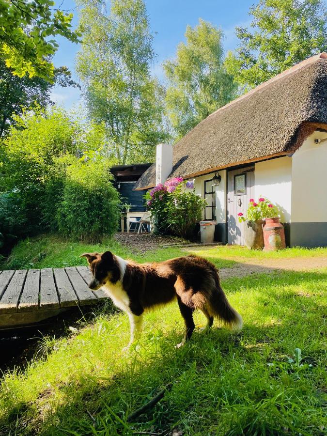 Bakhuisje Op De Veluwe Heerde Kültér fotó