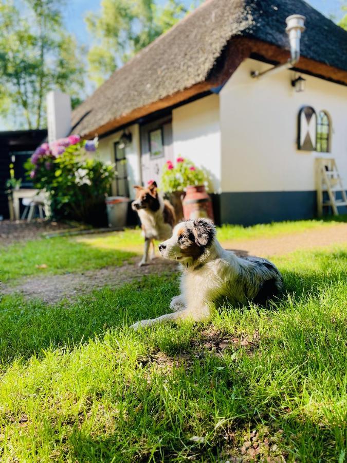 Bakhuisje Op De Veluwe Heerde Kültér fotó