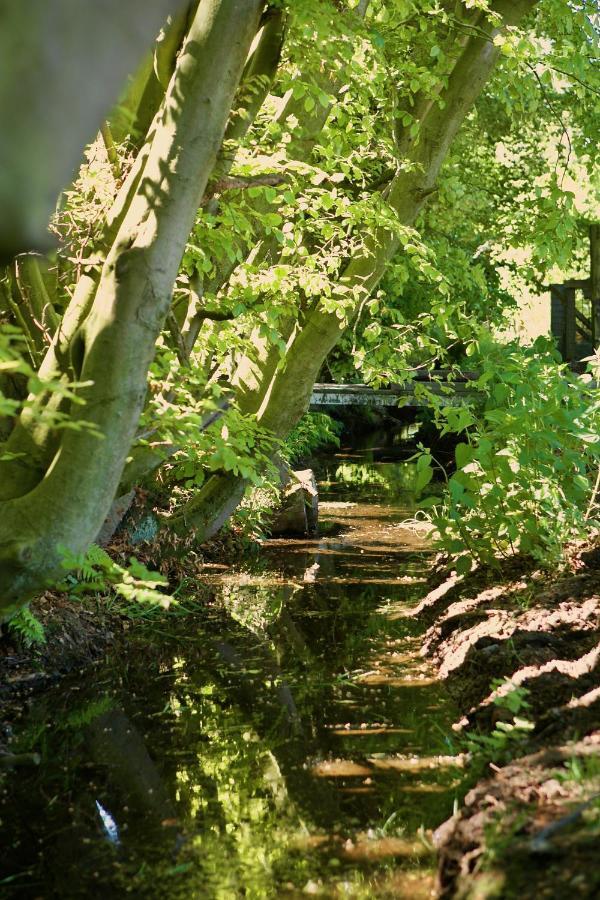 Bakhuisje Op De Veluwe Heerde Kültér fotó